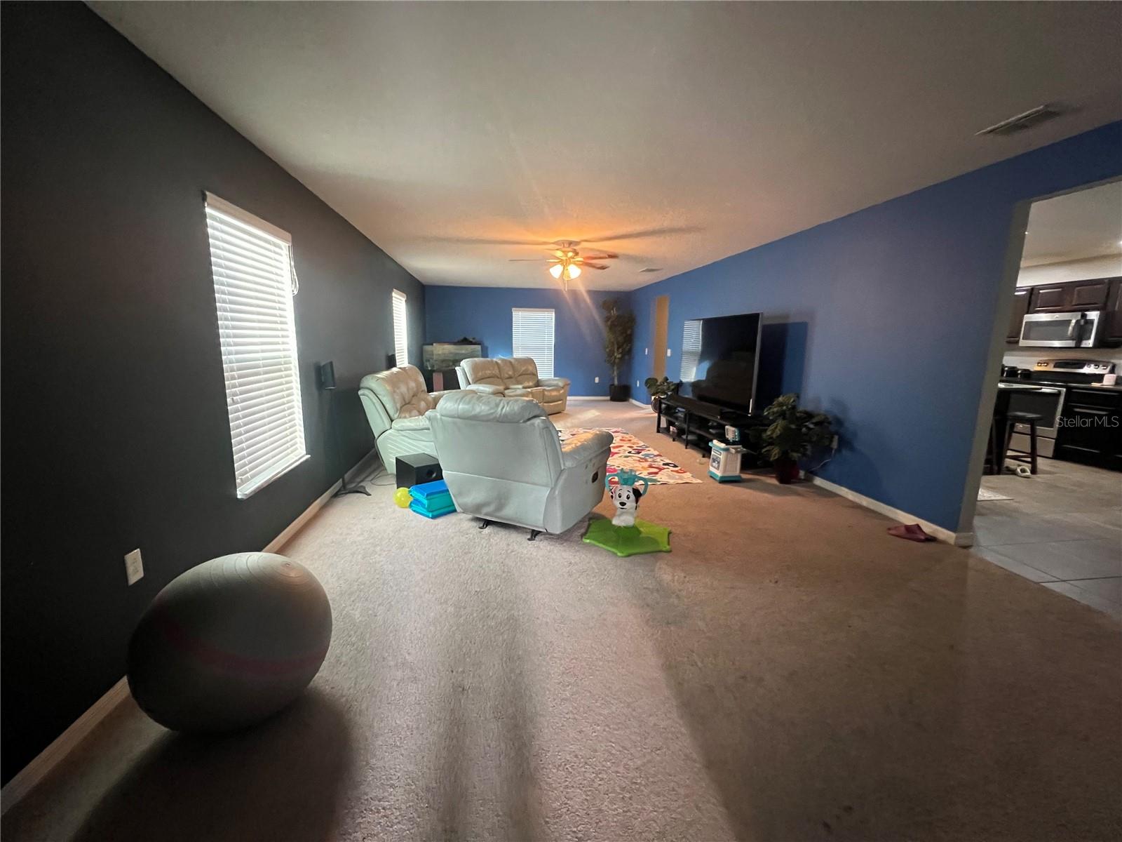 13331 WATERFORD CASTLE DR, DADE CITY, FL, 33525