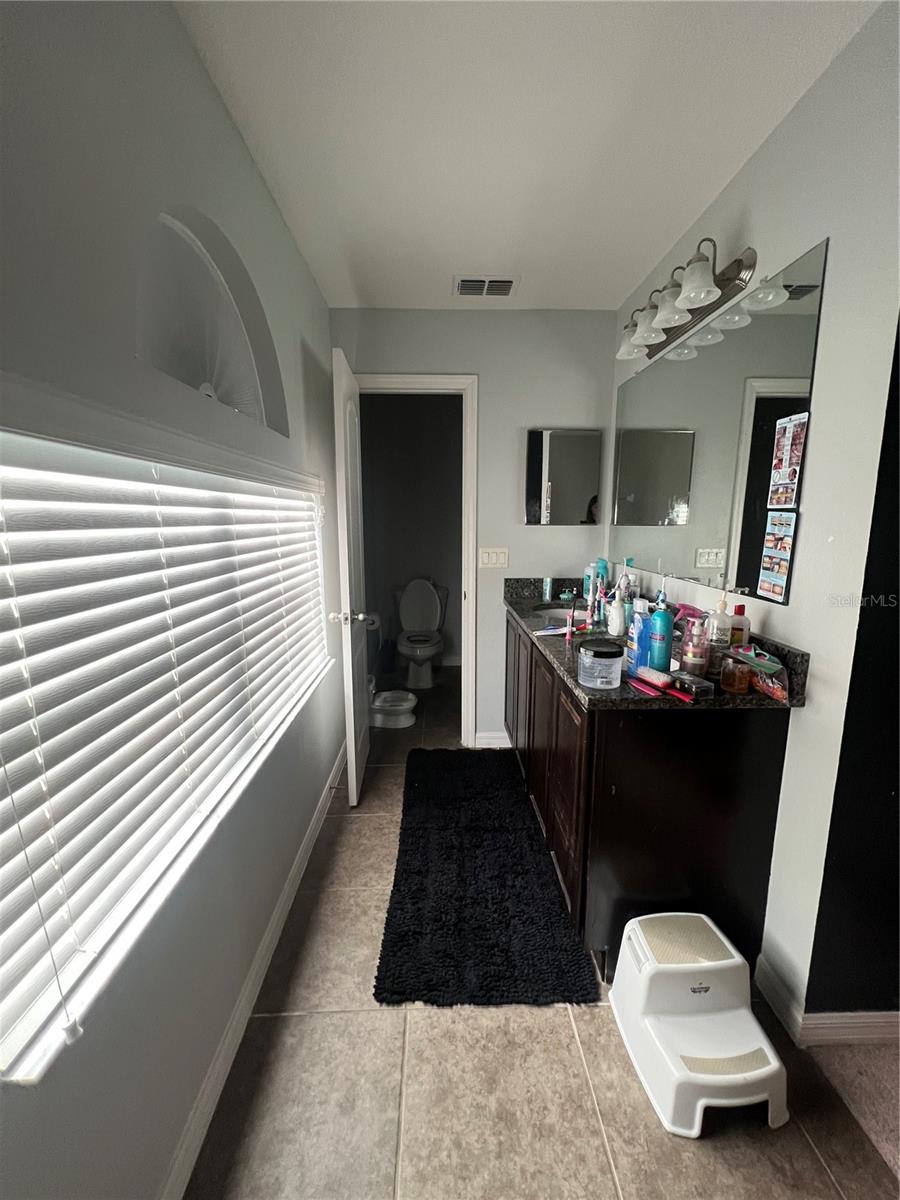 13331 WATERFORD CASTLE DR, DADE CITY, FL, 33525