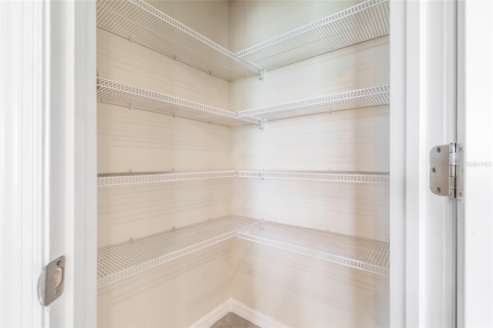 16781 GLACIER BAY LOOP, WIMAUMA, FL, 33598