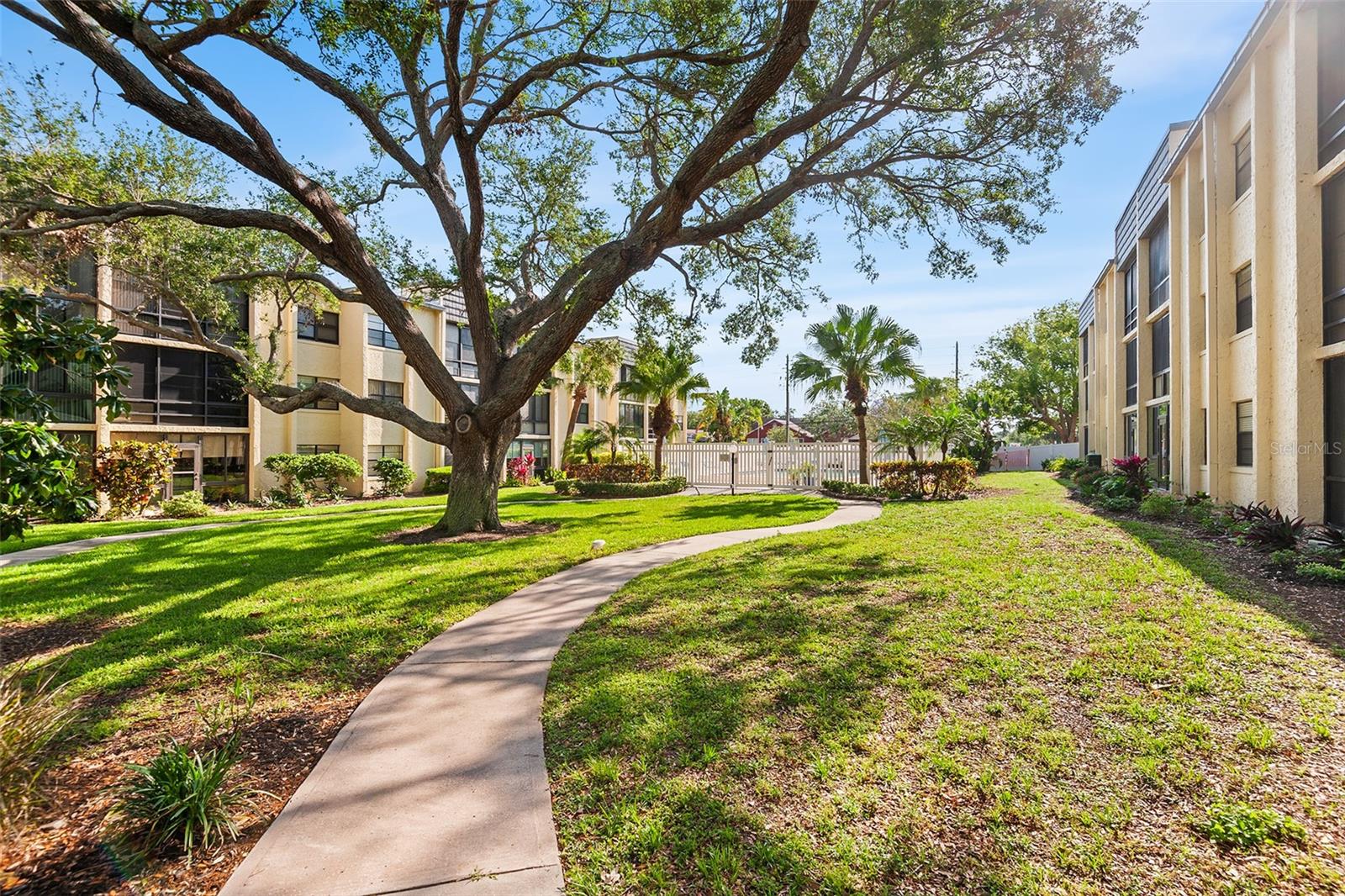 14130 ROSEMARY LN #1202, LARGO, FL, 33774