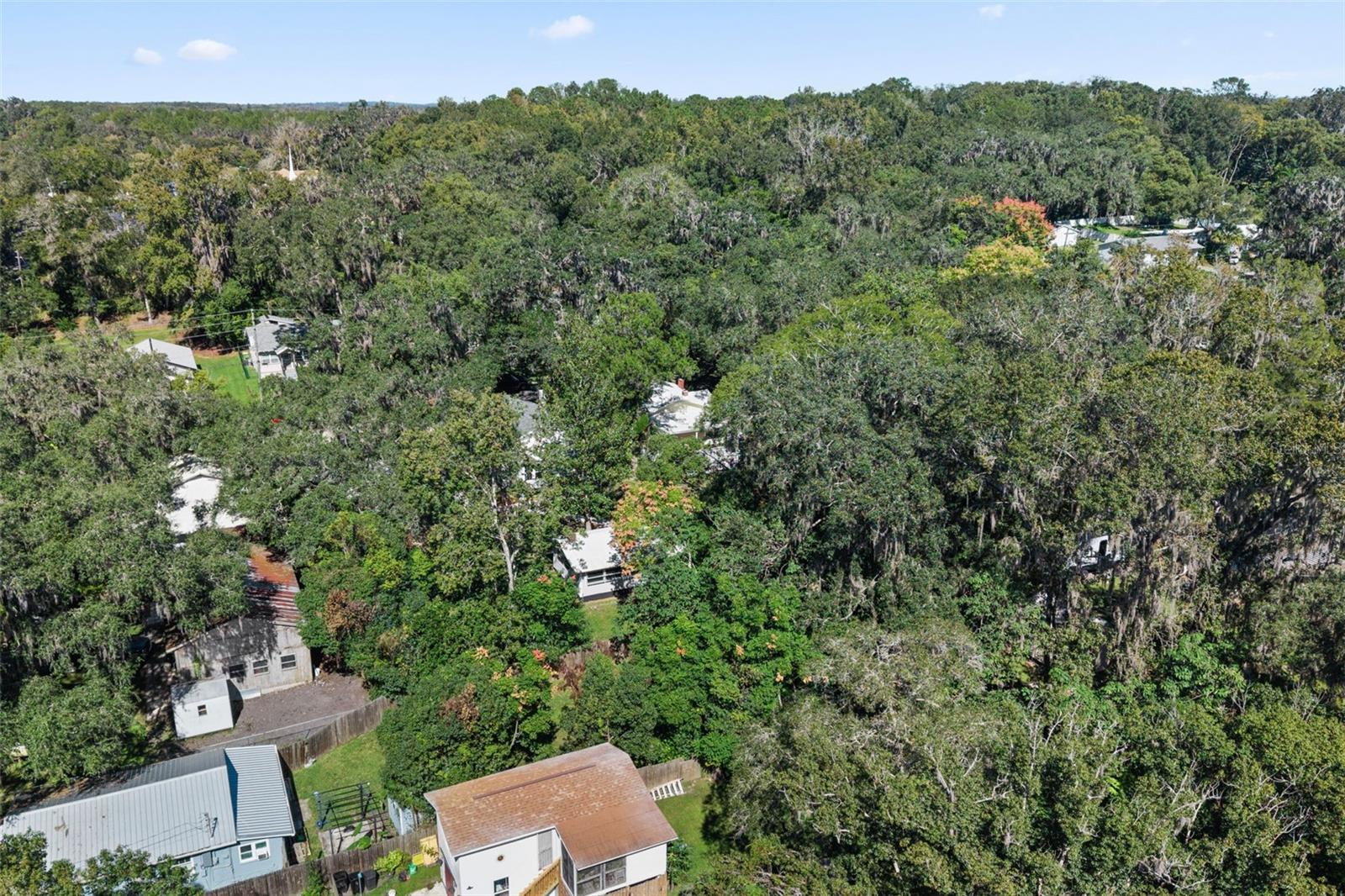 317 HIGHLAND ST, BROOKSVILLE, FL, 34601