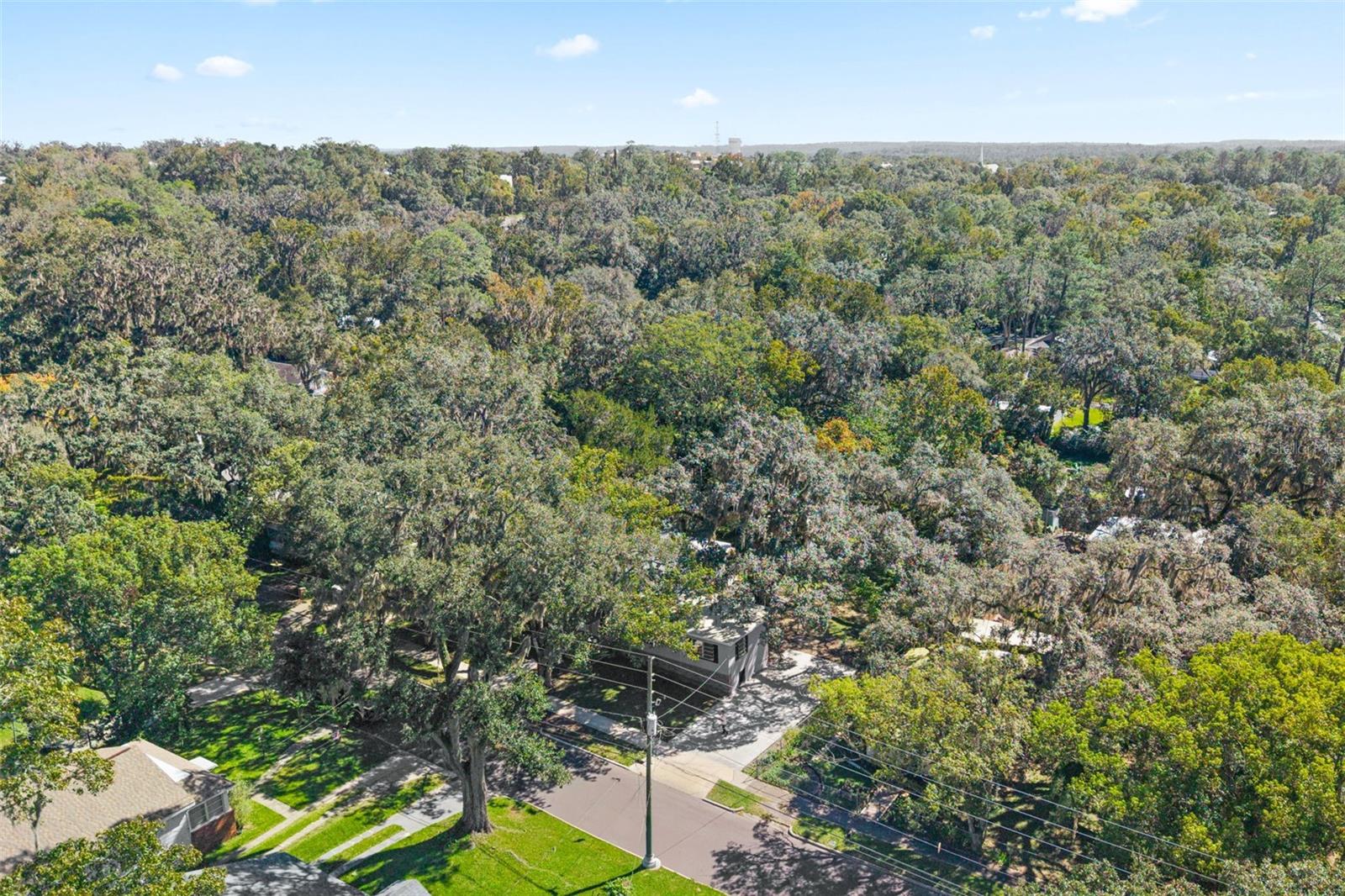 317 HIGHLAND ST, BROOKSVILLE, FL, 34601