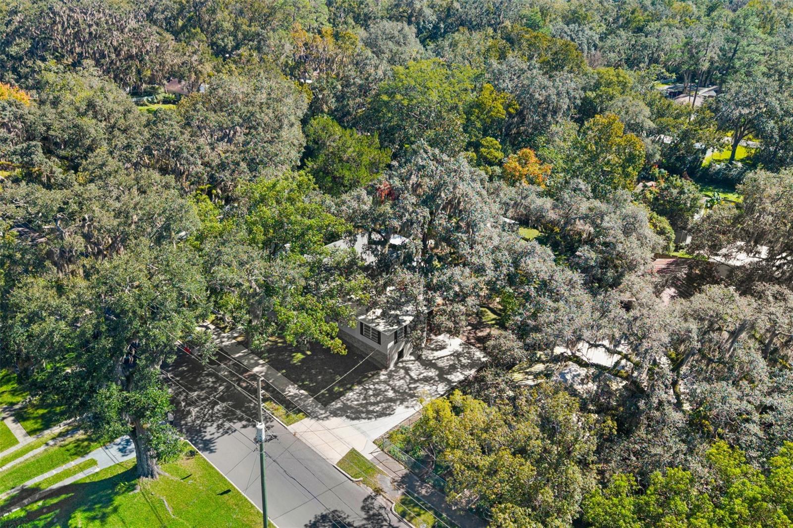 317 HIGHLAND ST, BROOKSVILLE, FL, 34601