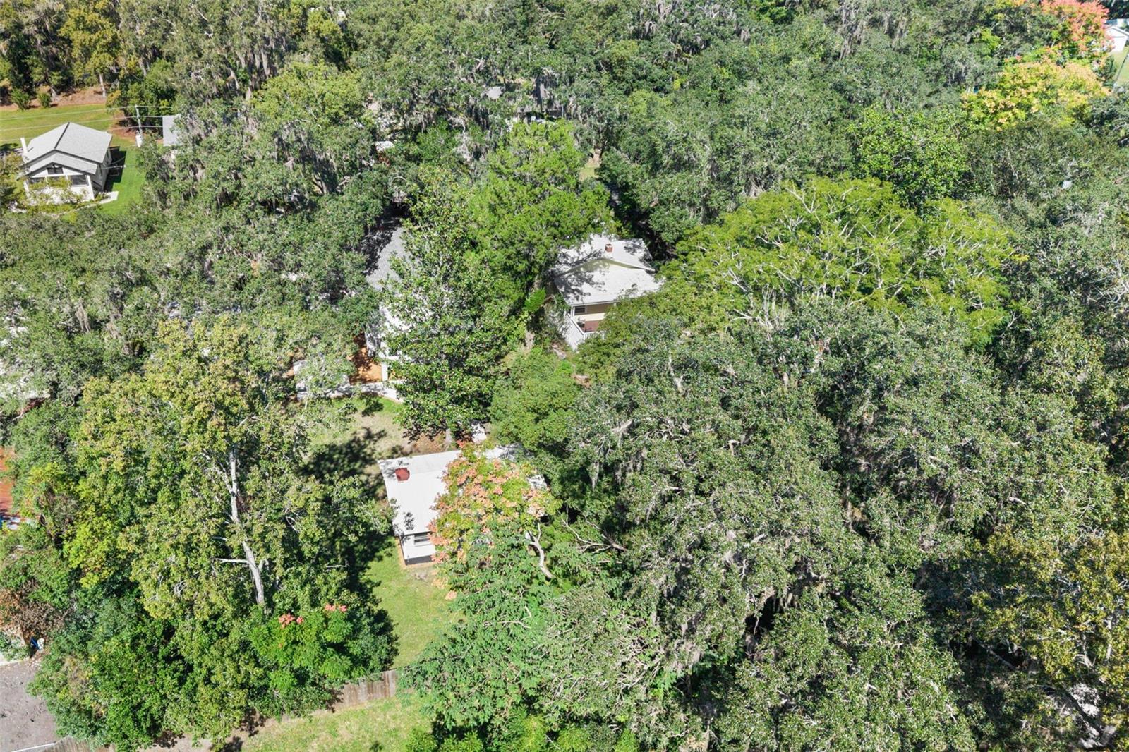 317 HIGHLAND ST, BROOKSVILLE, FL, 34601