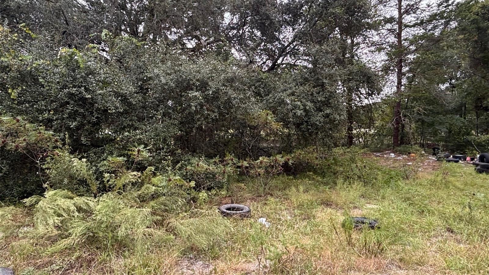 8185 S JASMINE AVE, MELROSE, FL, 32666