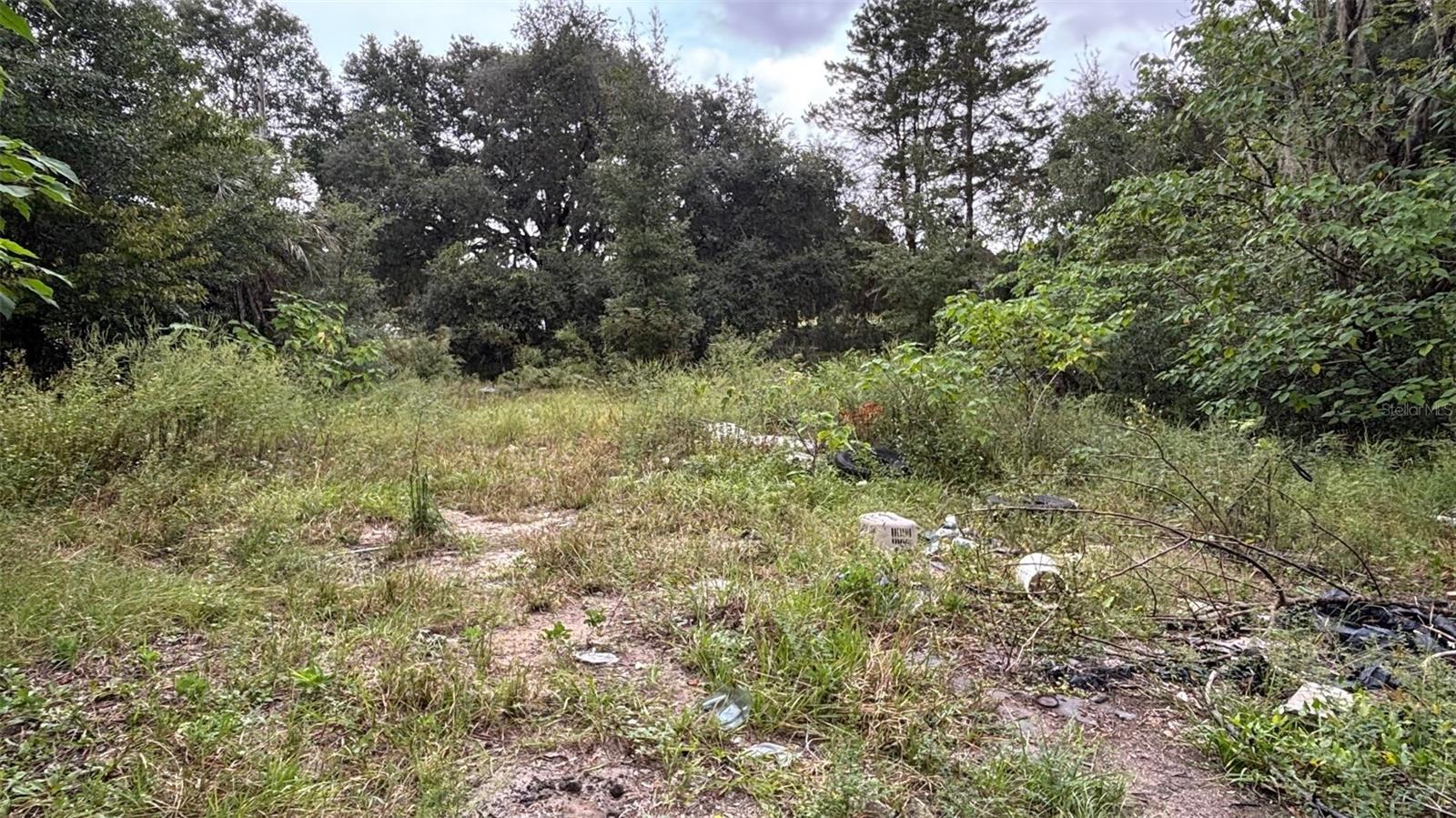 8185 S JASMINE AVE, MELROSE, FL, 32666