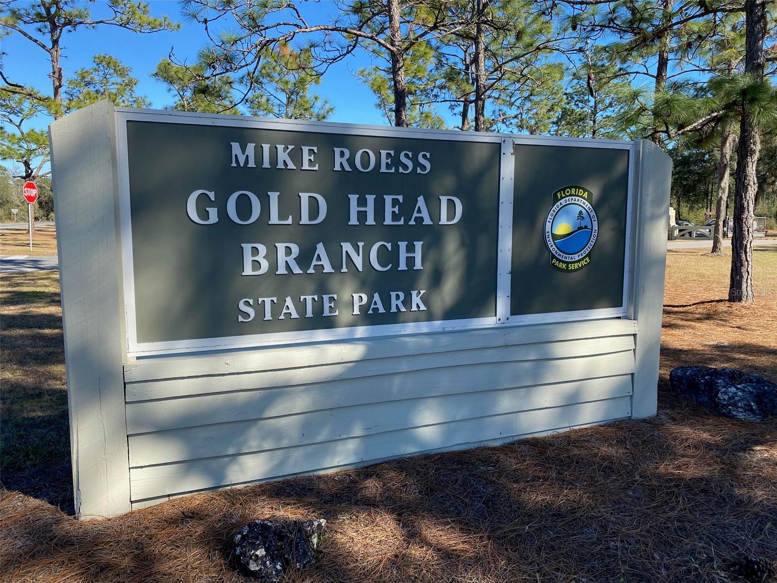 8185 S JASMINE AVE, MELROSE, FL, 32666