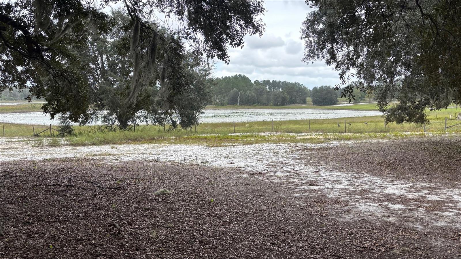 8185 S JASMINE AVE, MELROSE, FL, 32666