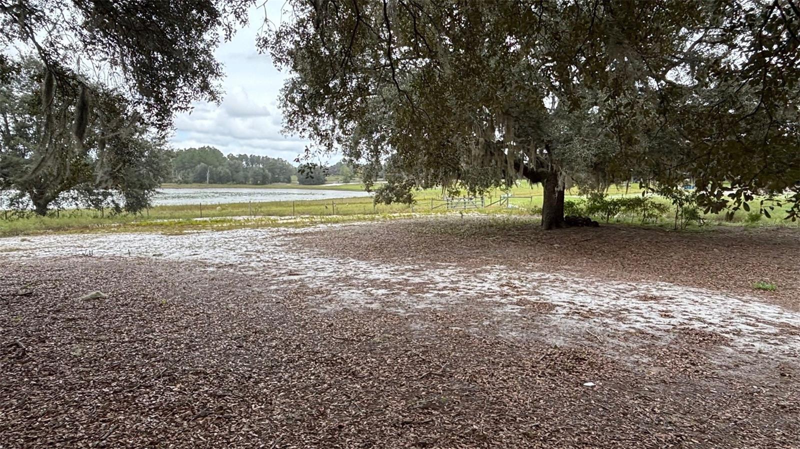 8185 S JASMINE AVE, MELROSE, FL, 32666