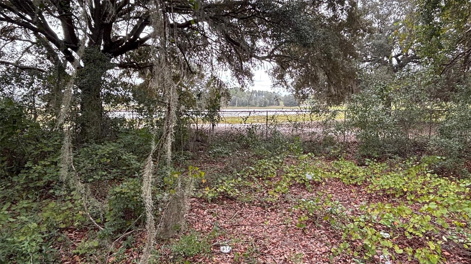 8185 S JASMINE AVE, MELROSE, FL, 32666