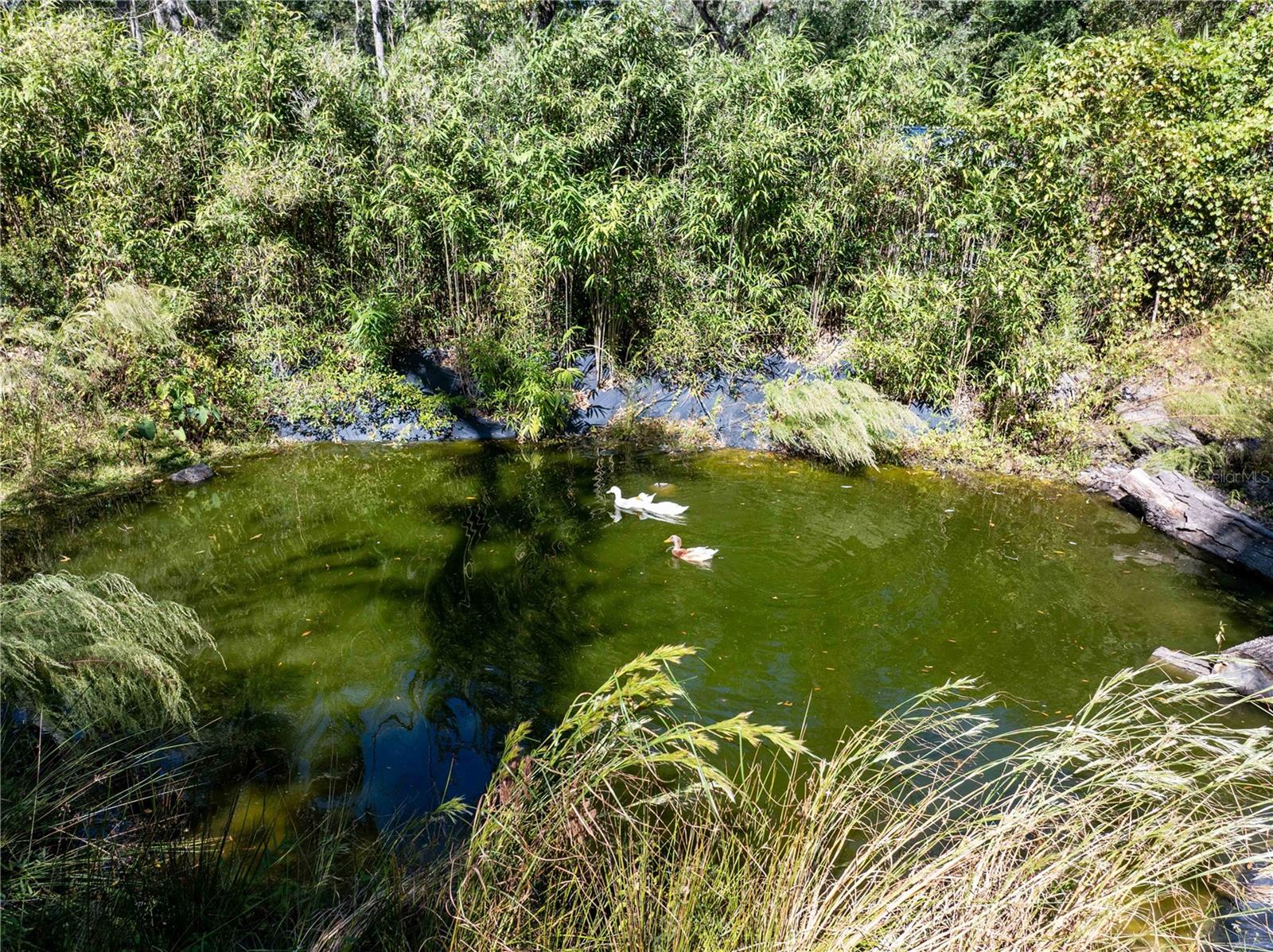 3039 113TH RD, LIVE OAK, FL, 32060