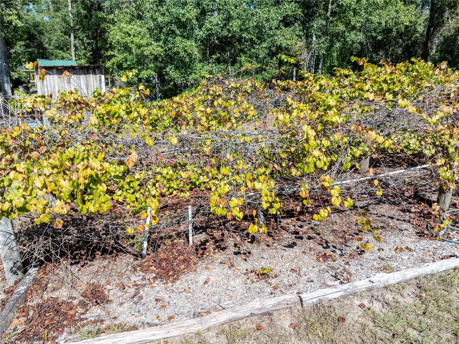 3039 113TH RD, LIVE OAK, FL, 32060