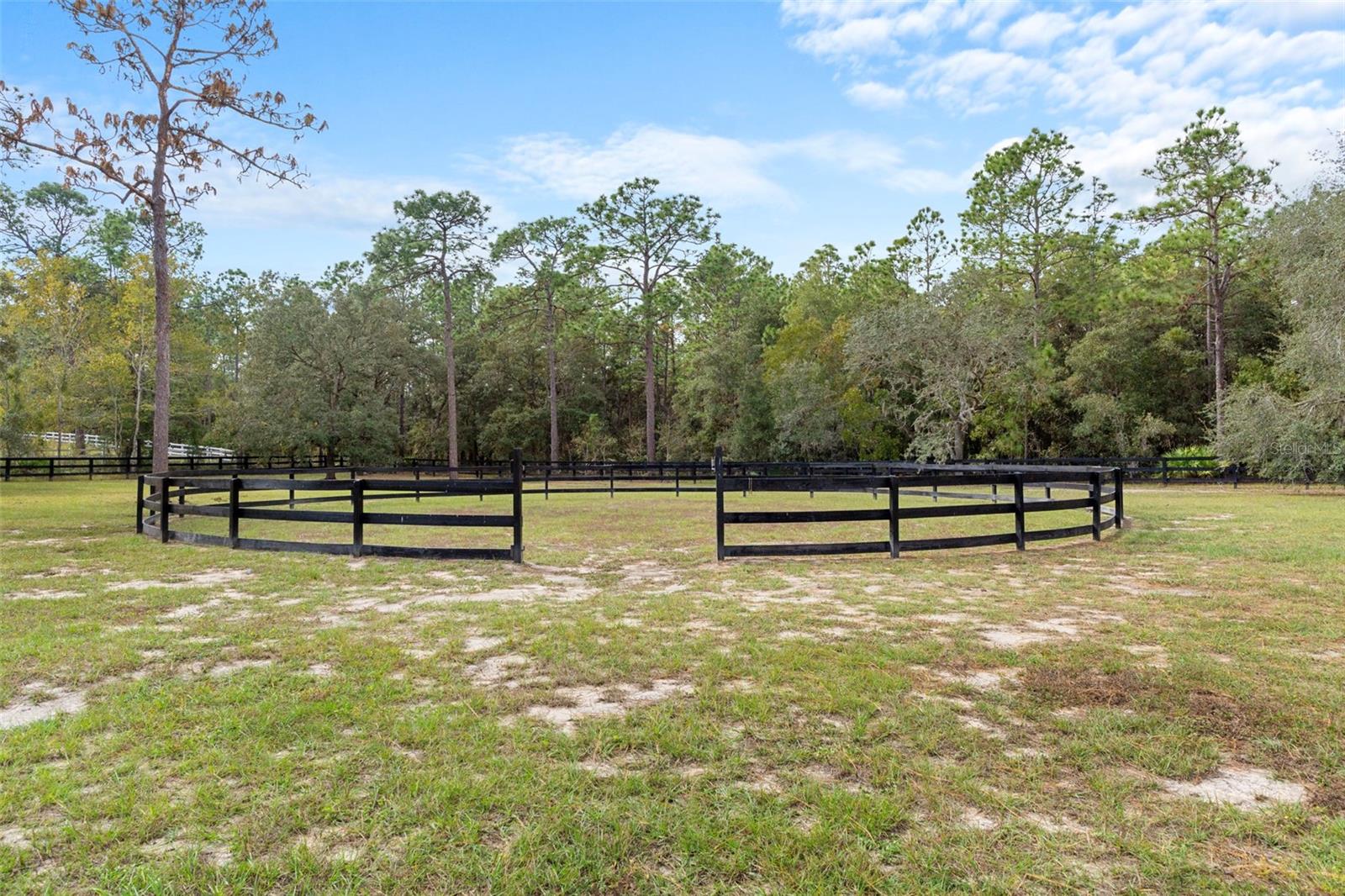 4202 N PONY DR, BEVERLY HILLS, FL, 34465