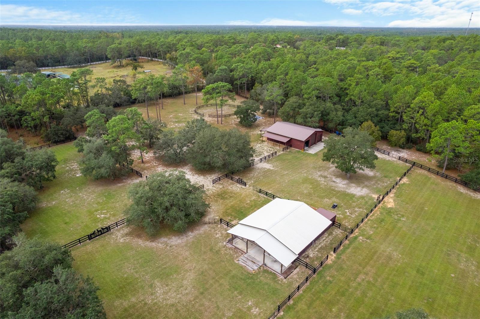 4202 N PONY DR, BEVERLY HILLS, FL, 34465