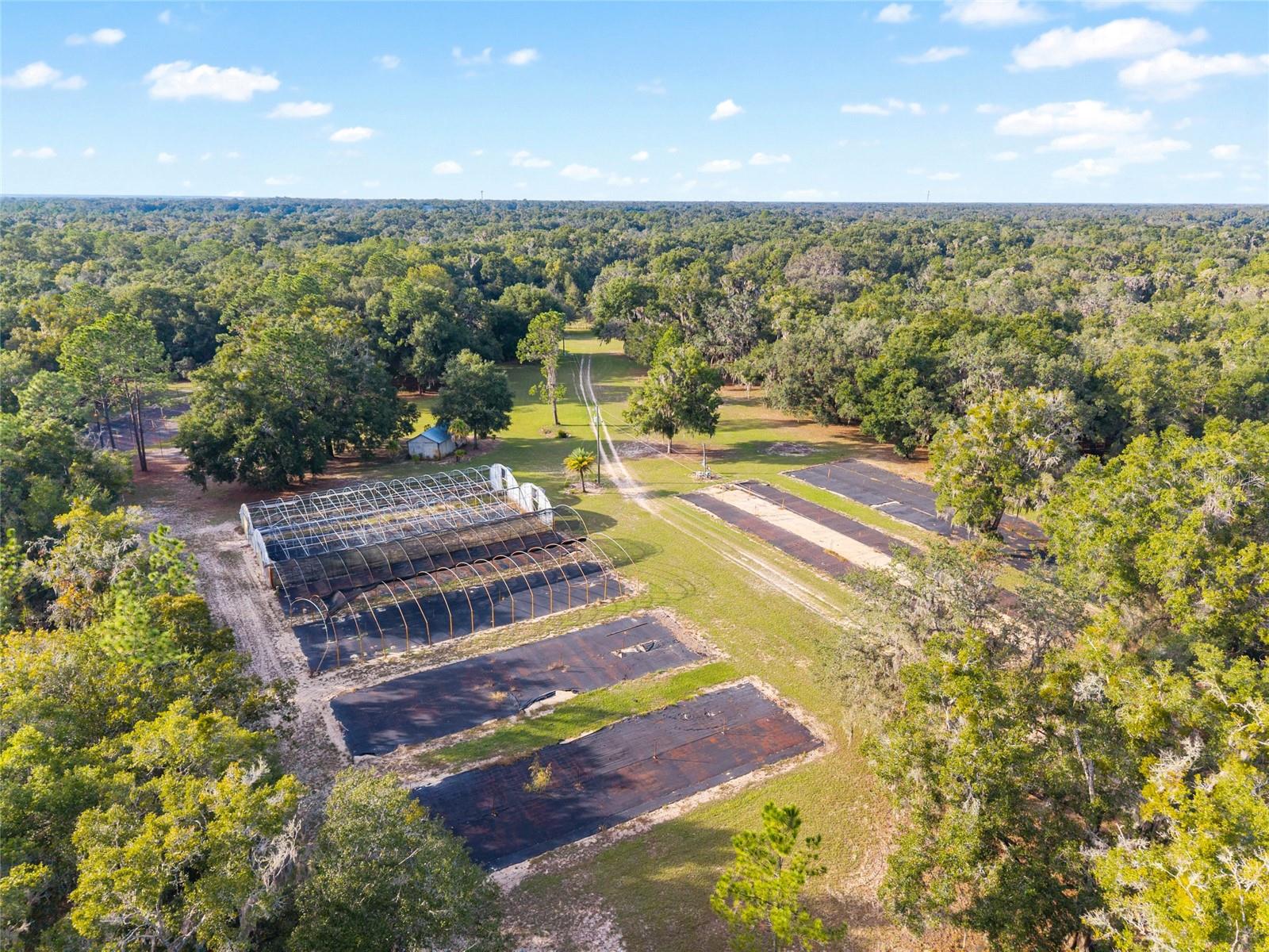 16876 NE 30TH CT, CITRA, FL, 32113