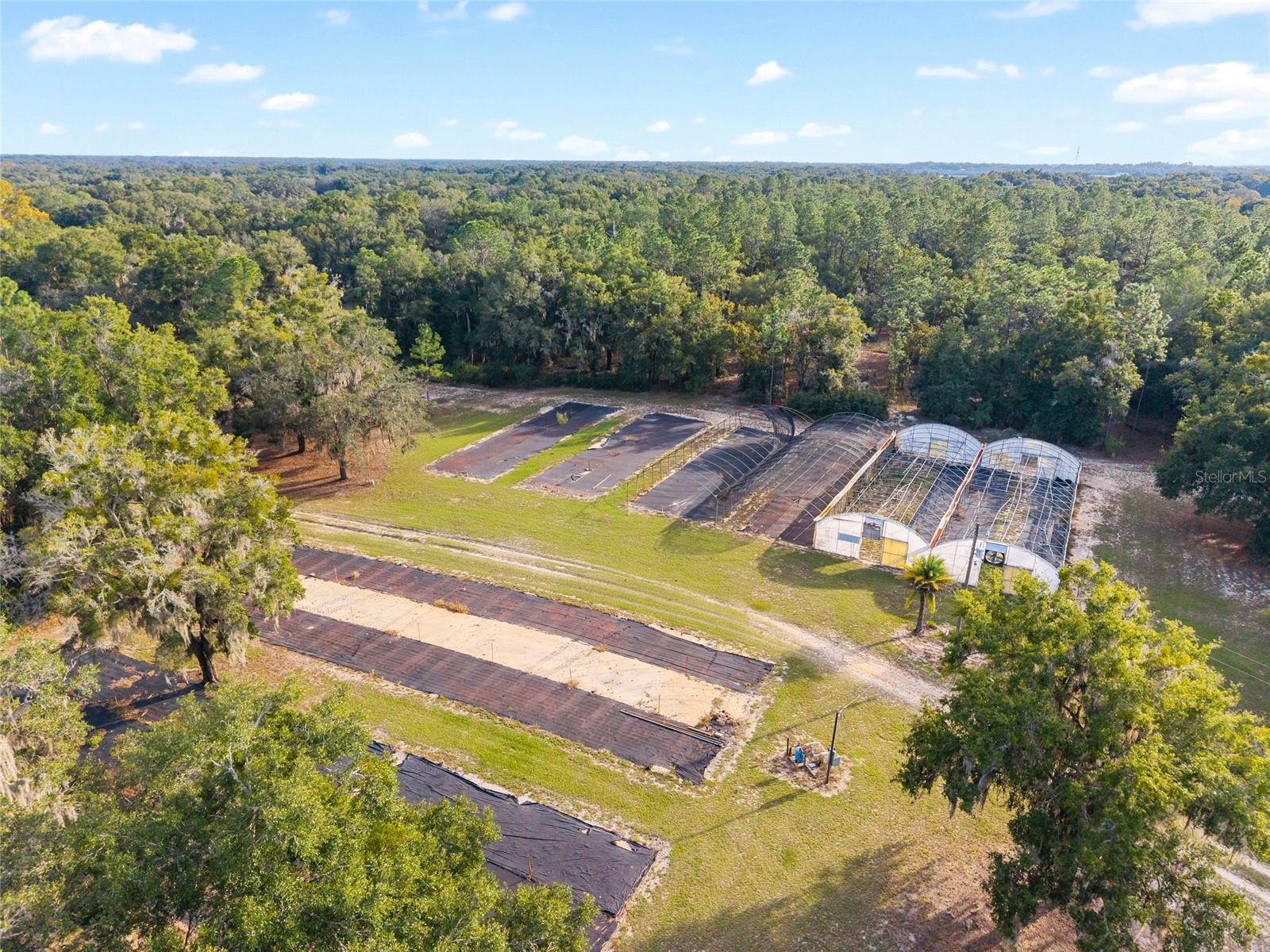 16876 NE 30TH CT, CITRA, FL, 32113