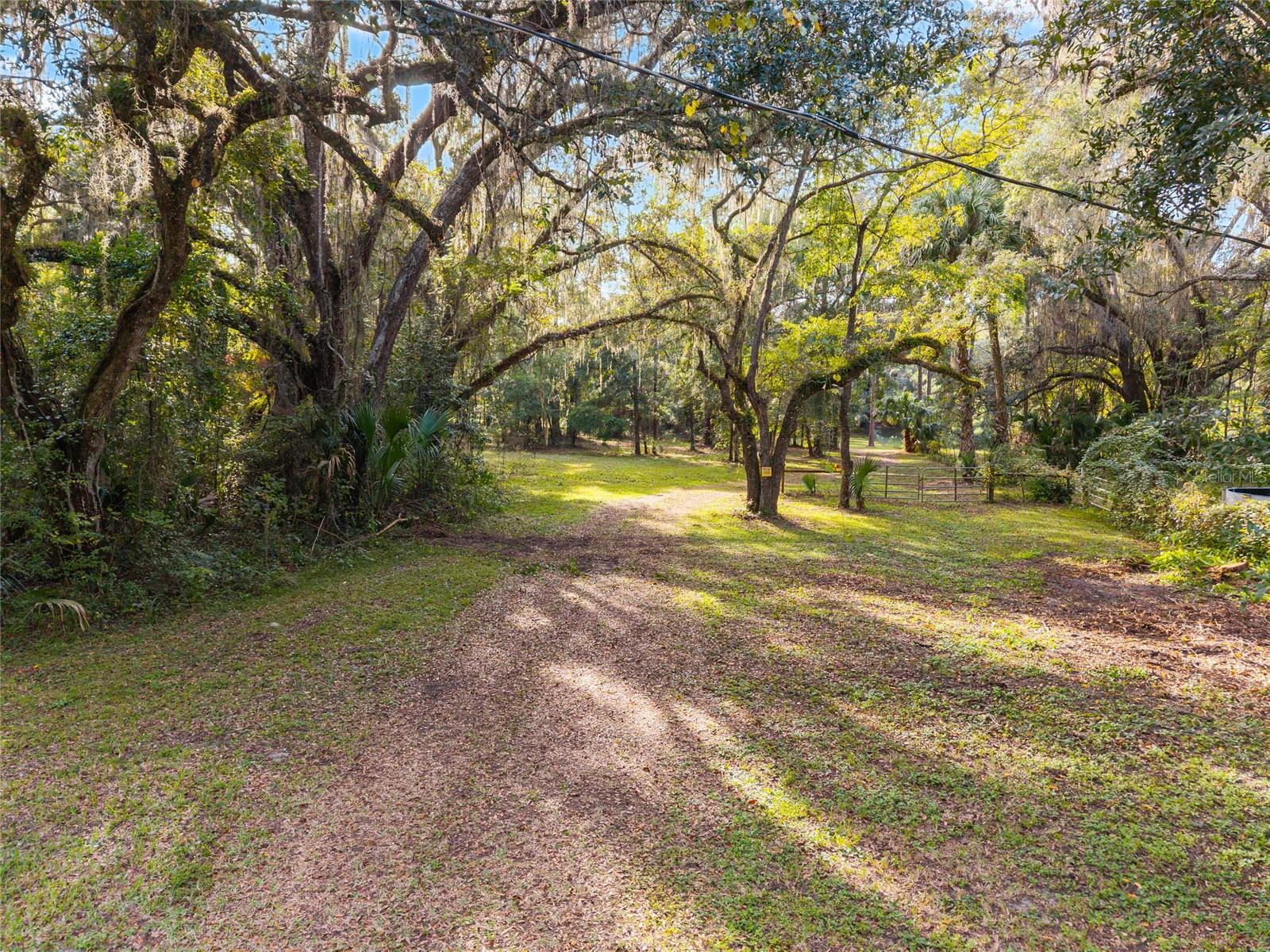 16876 NE 30TH CT, CITRA, FL, 32113