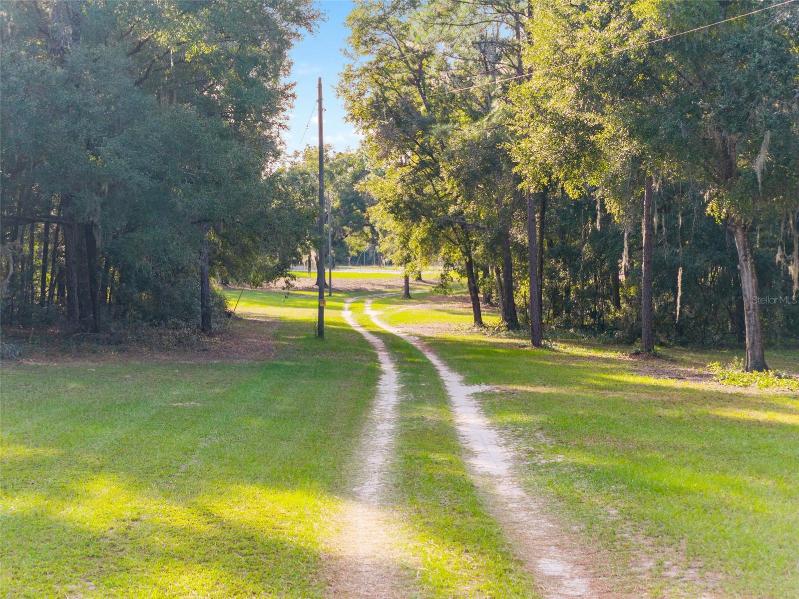 16876 NE 30TH CT, CITRA, FL, 32113