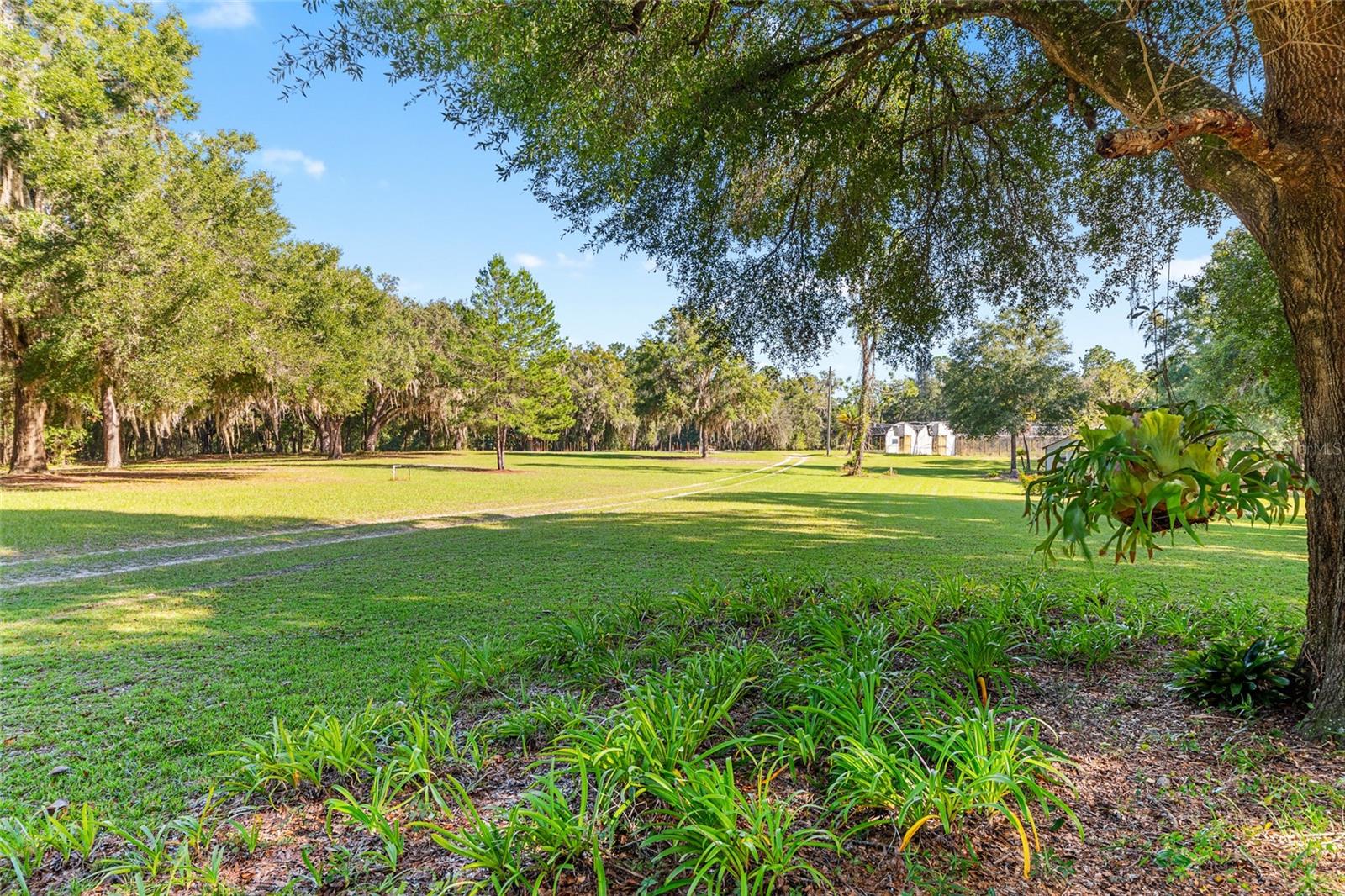 16876 NE 30TH CT, CITRA, FL, 32113