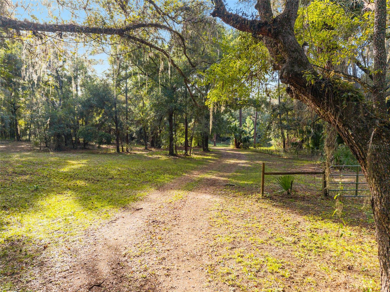 16876 NE 30TH CT, CITRA, FL, 32113