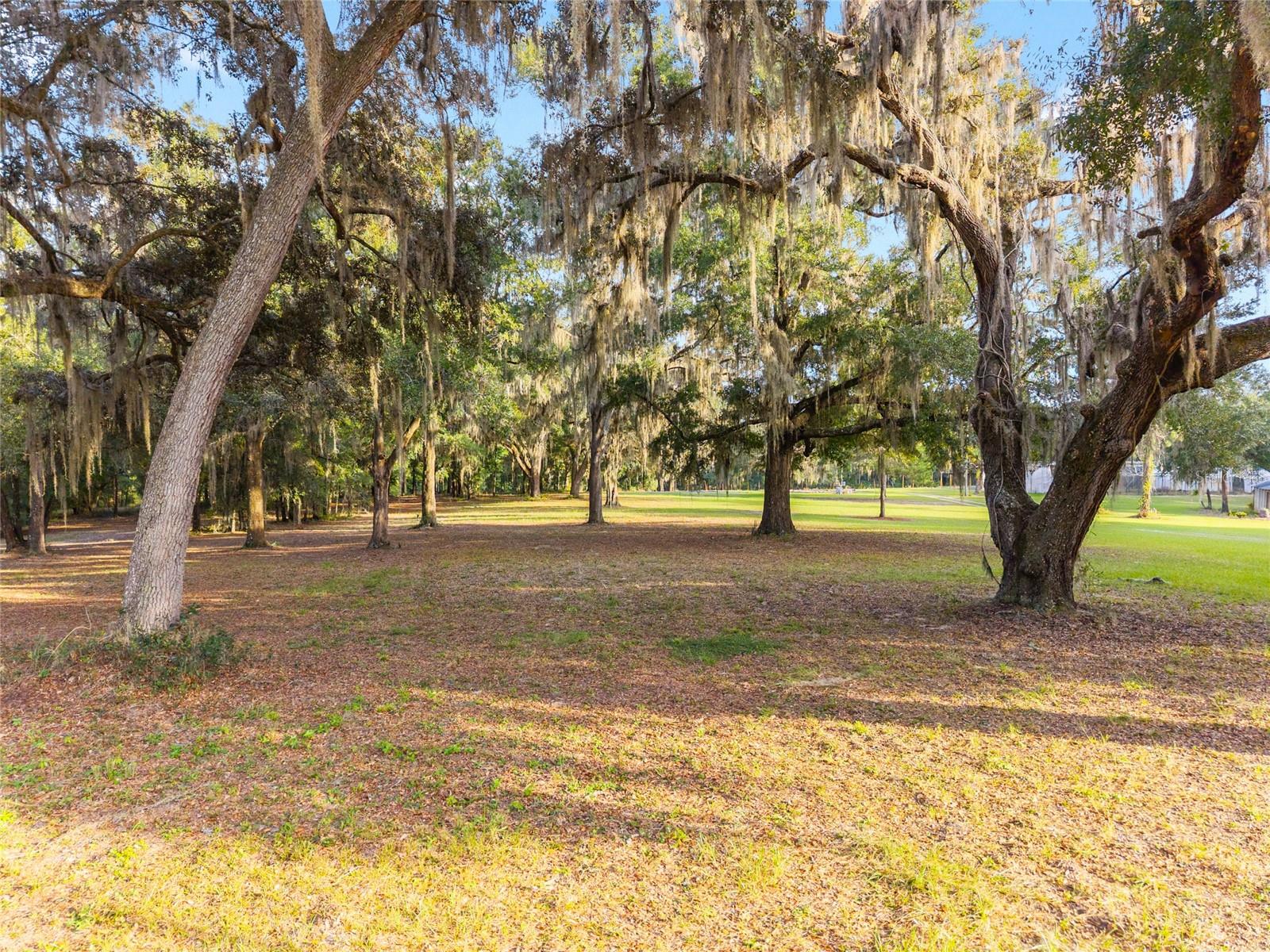 16876 NE 30TH CT, CITRA, FL, 32113