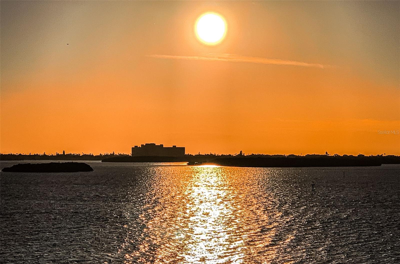 634 EDGEWATER DR #447, DUNEDIN, FL, 34698