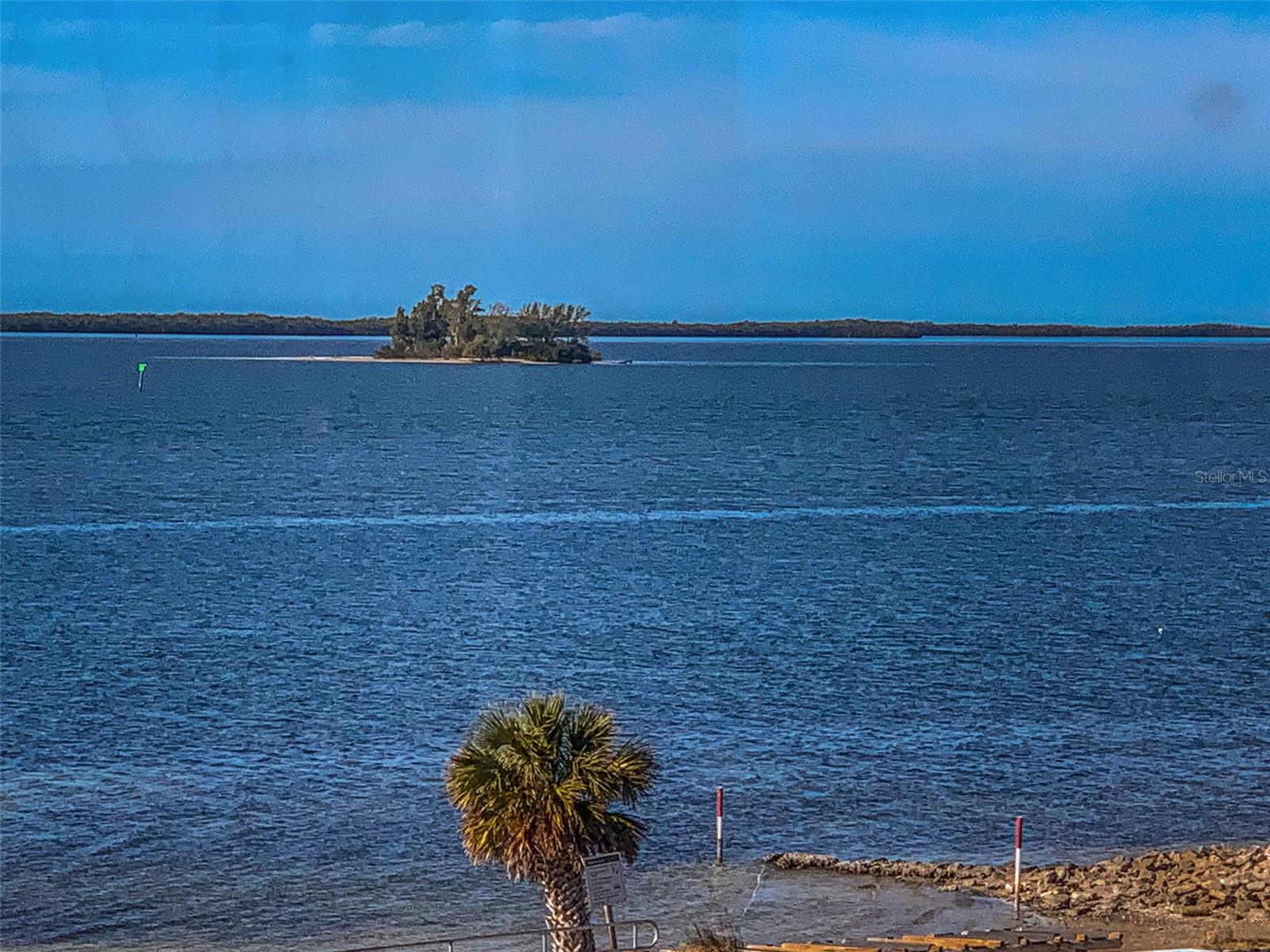 634 EDGEWATER DR #447, DUNEDIN, FL, 34698