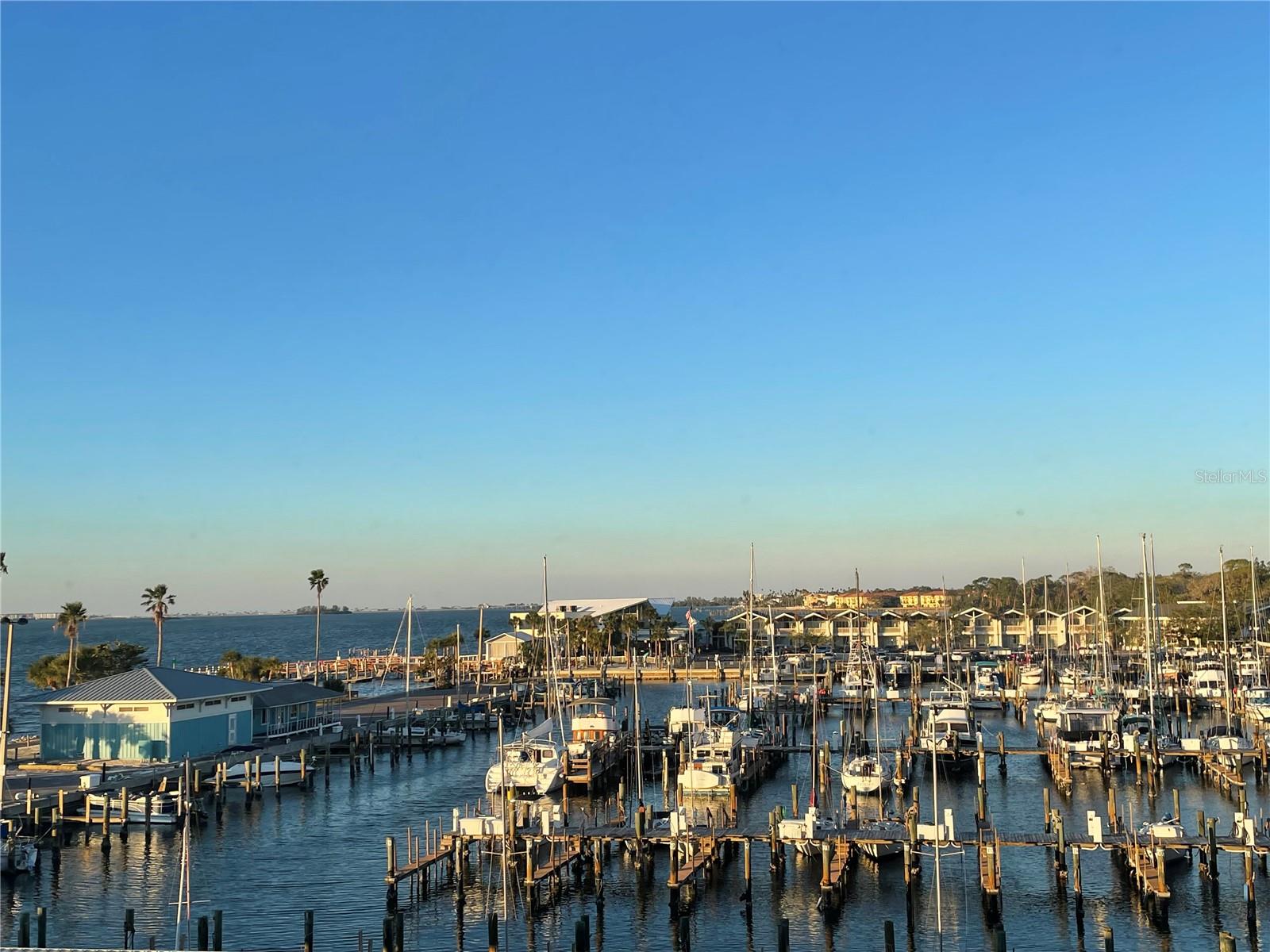 634 EDGEWATER DR #447, DUNEDIN, FL, 34698