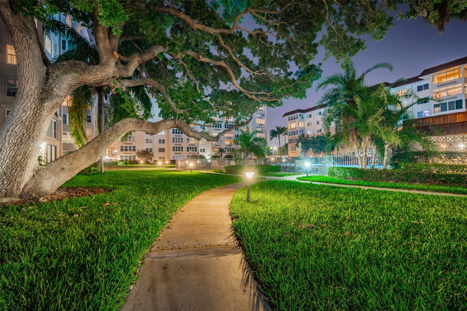 634 EDGEWATER DR #447, DUNEDIN, FL, 34698