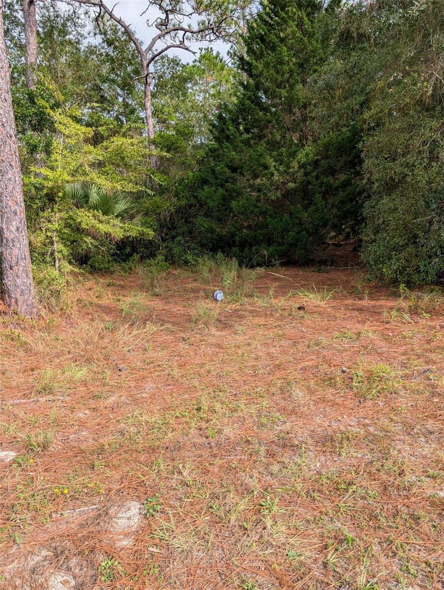 9115 S SUNCOAST BLVD, HOMOSASSA, FL, 34446