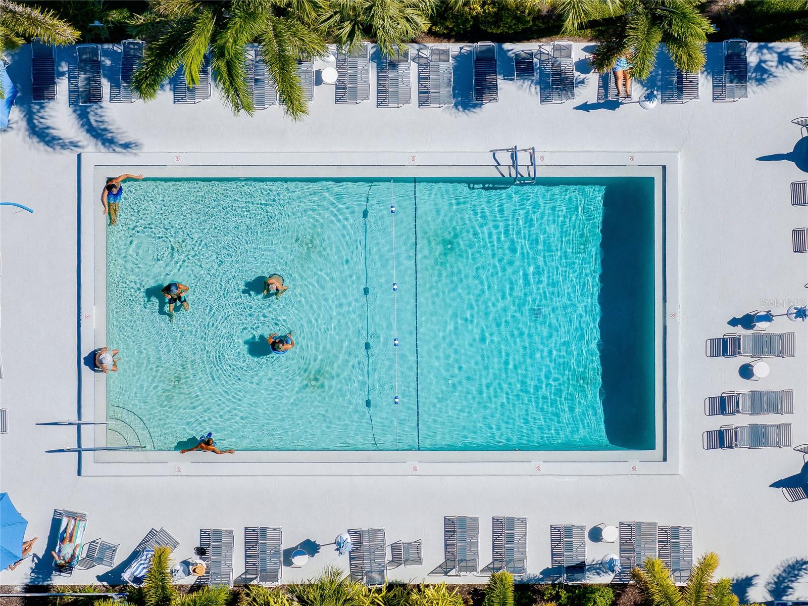 433 CERROMAR LN #430, VENICE, FL, 34293