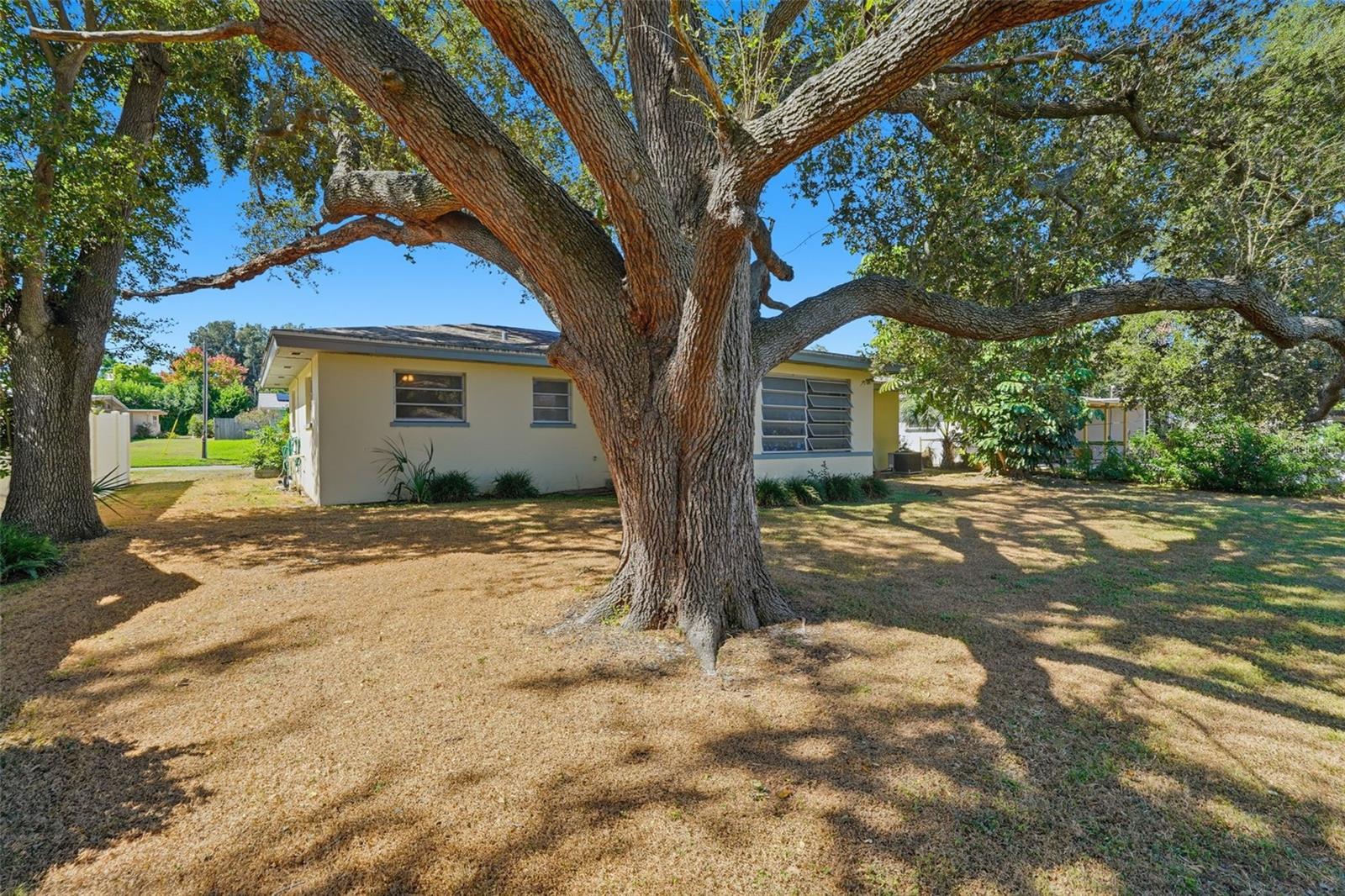 1523 S FREDRICA AVE, CLEARWATER, FL, 33756