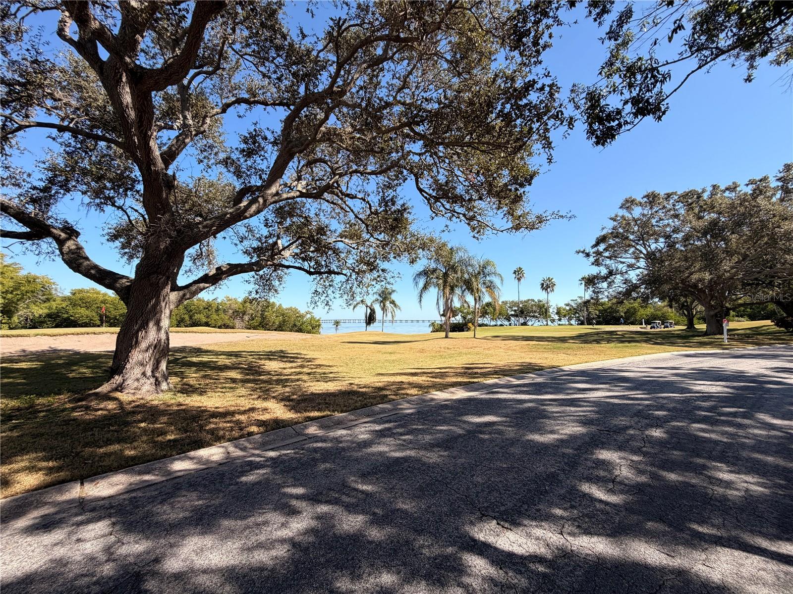 2614 COVE CAY DR #406, CLEARWATER, FL, 33760