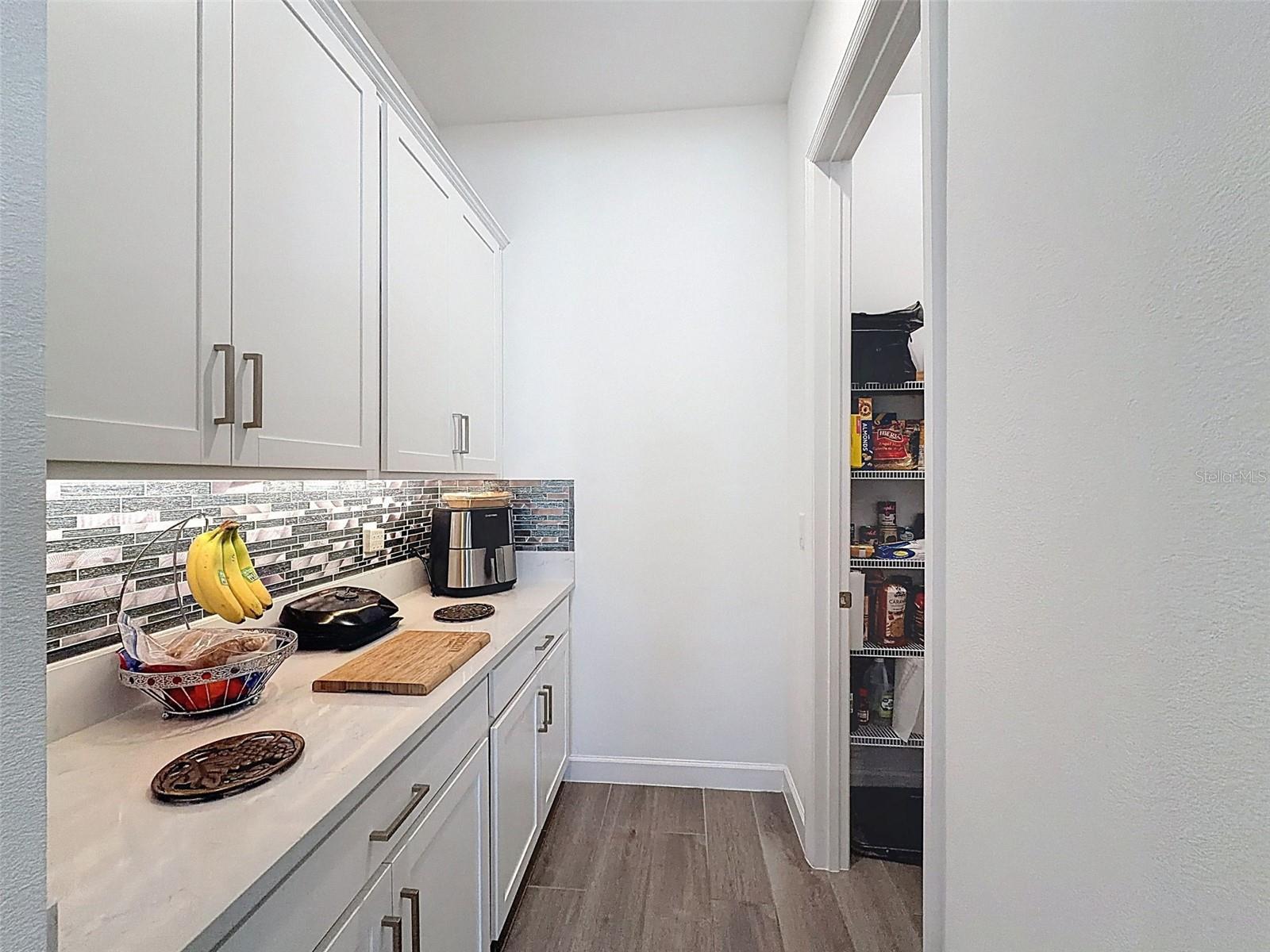 17301 SCUBA CREST ST, WIMAUMA, FL, 33598