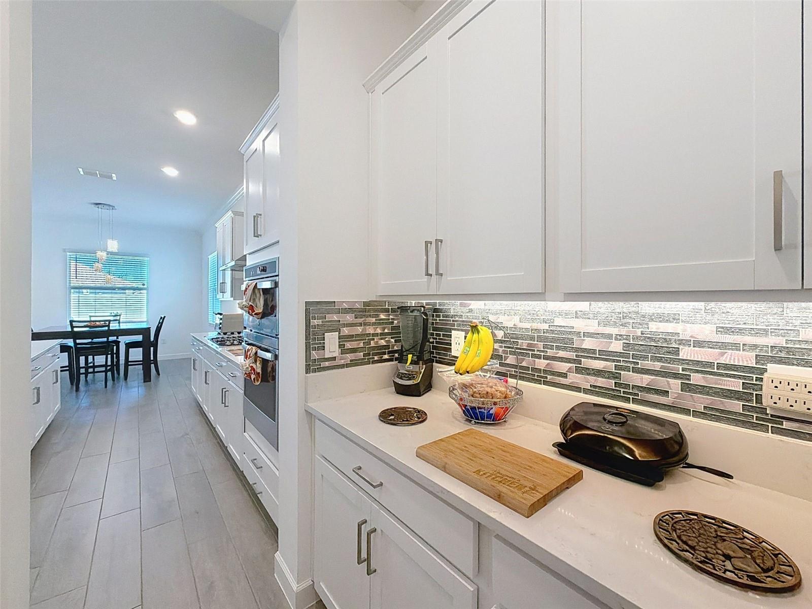 17301 SCUBA CREST ST, WIMAUMA, FL, 33598