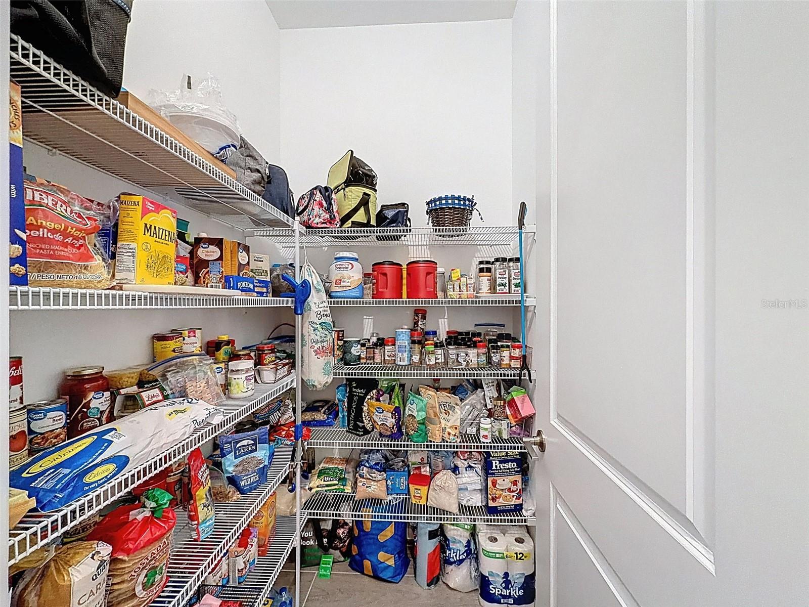 17301 SCUBA CREST ST, WIMAUMA, FL, 33598