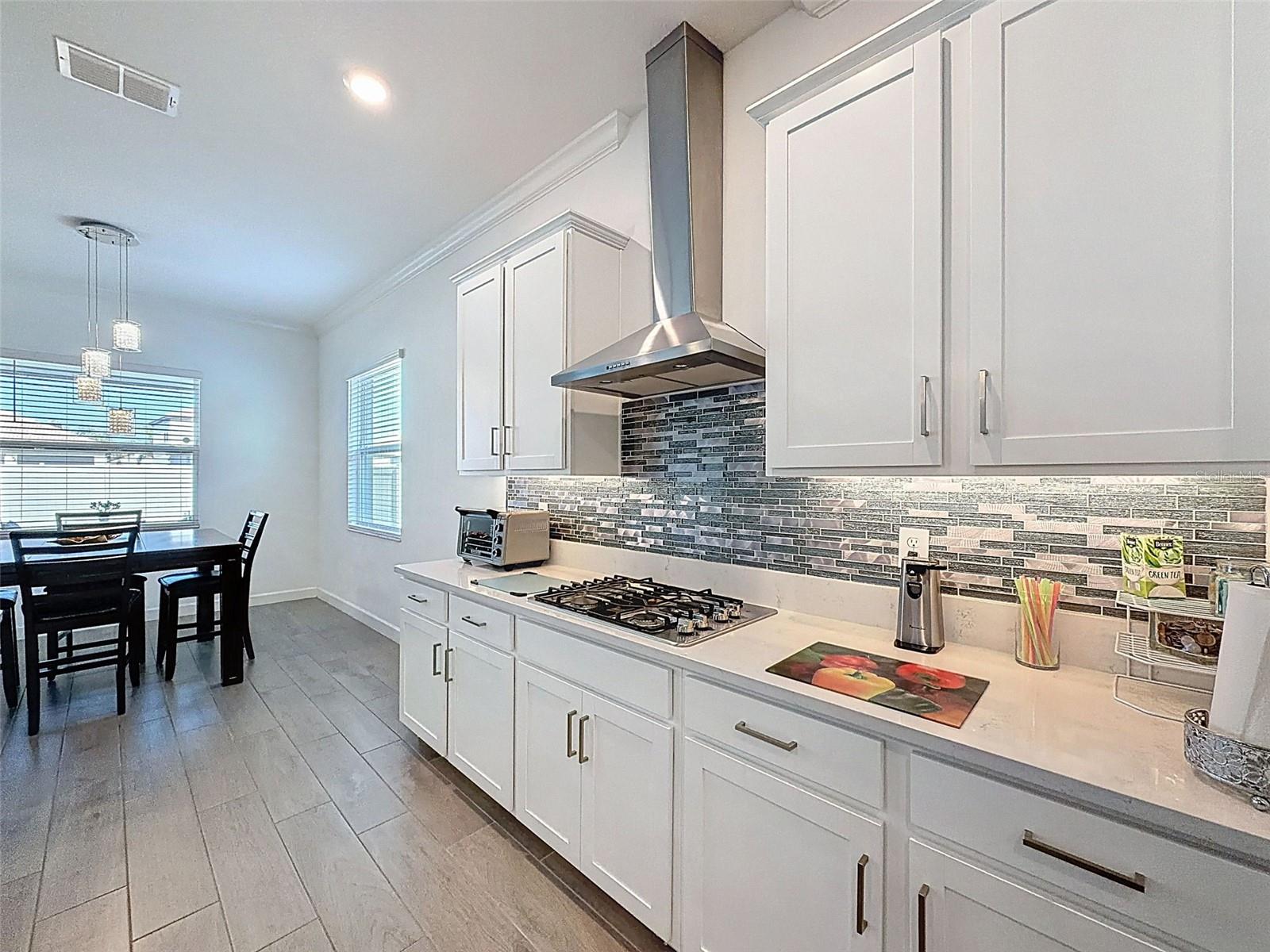 17301 SCUBA CREST ST, WIMAUMA, FL, 33598