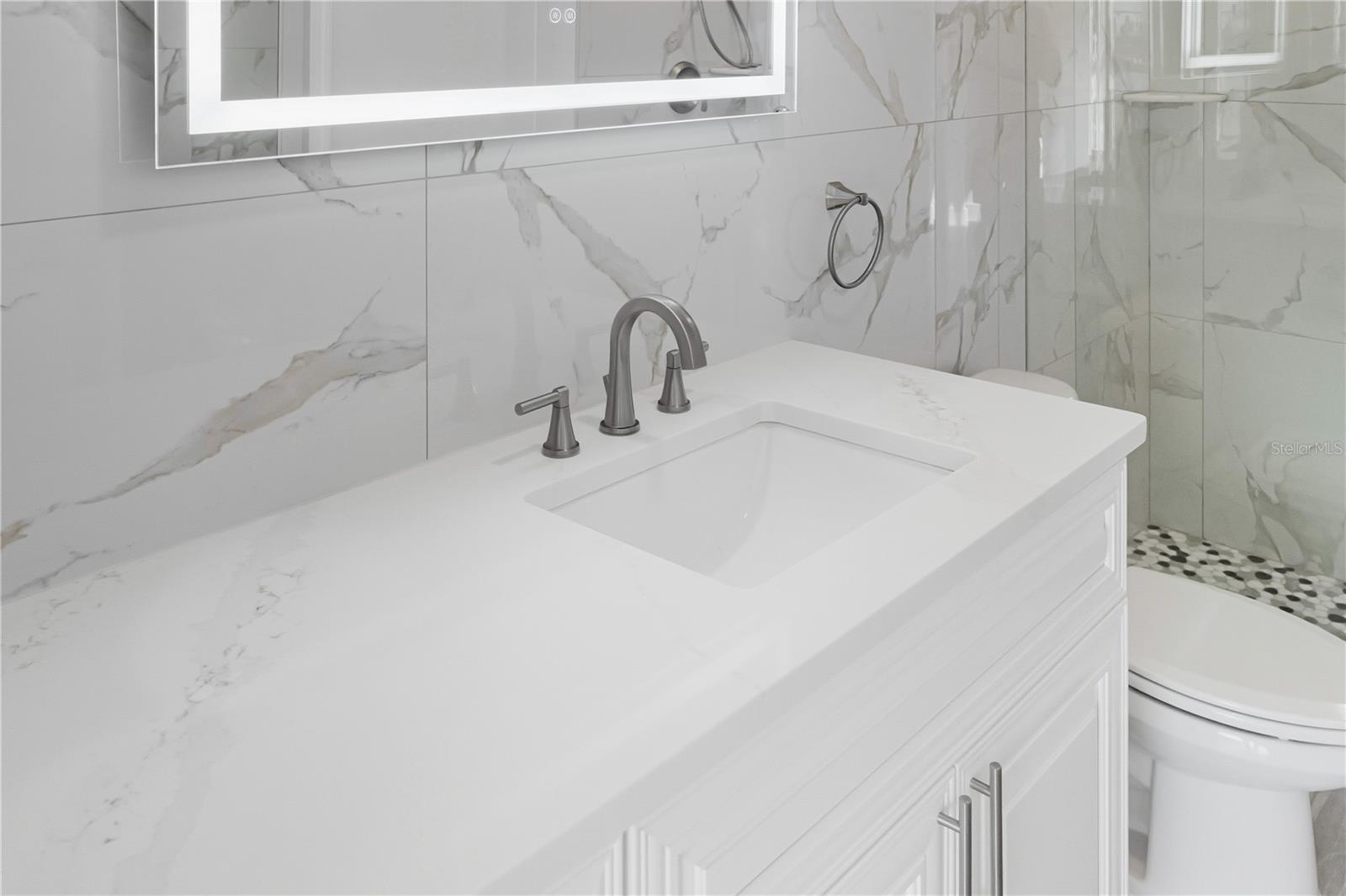 9260 LAKE CHASE ISLAND WAY, TAMPA, FL, 33626