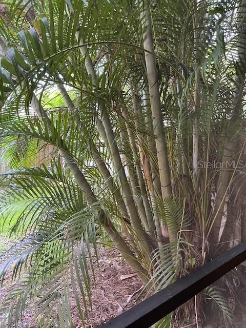 10196 SAILWINDS BLVD S #103, LARGO, FL, 33773