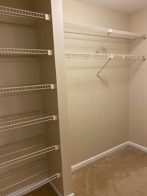 10196 SAILWINDS BLVD S #103, LARGO, FL, 33773