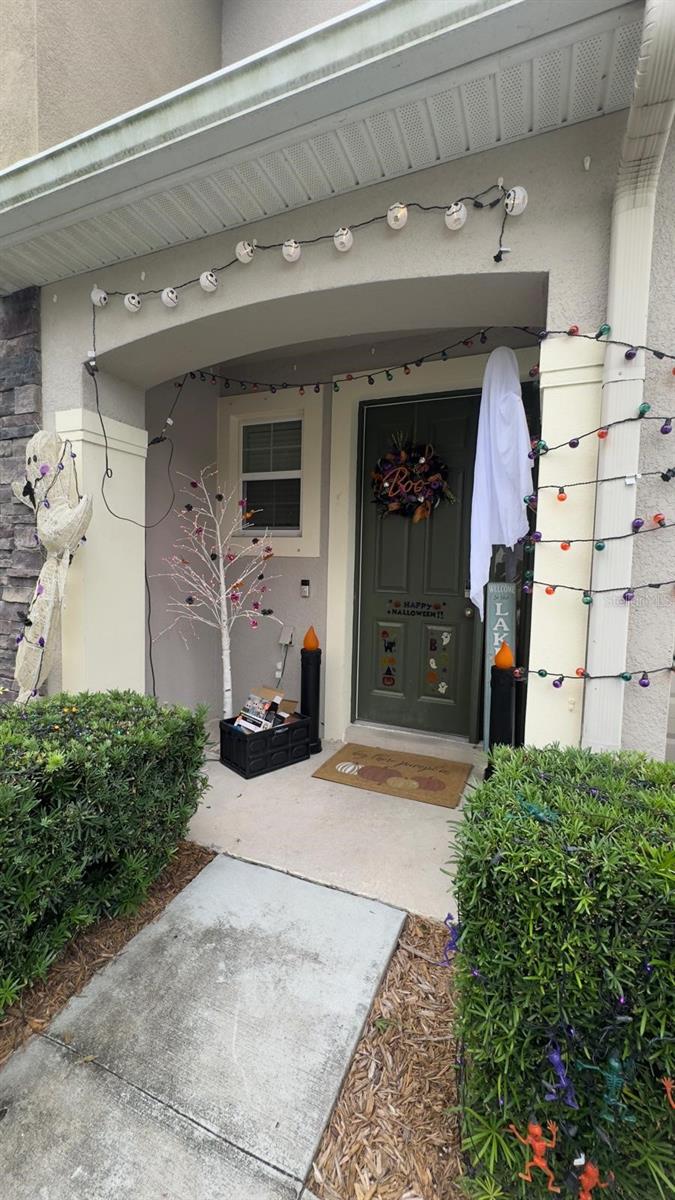 12711 LEXINGTON RIDGE ST, RIVERVIEW, FL, 33578