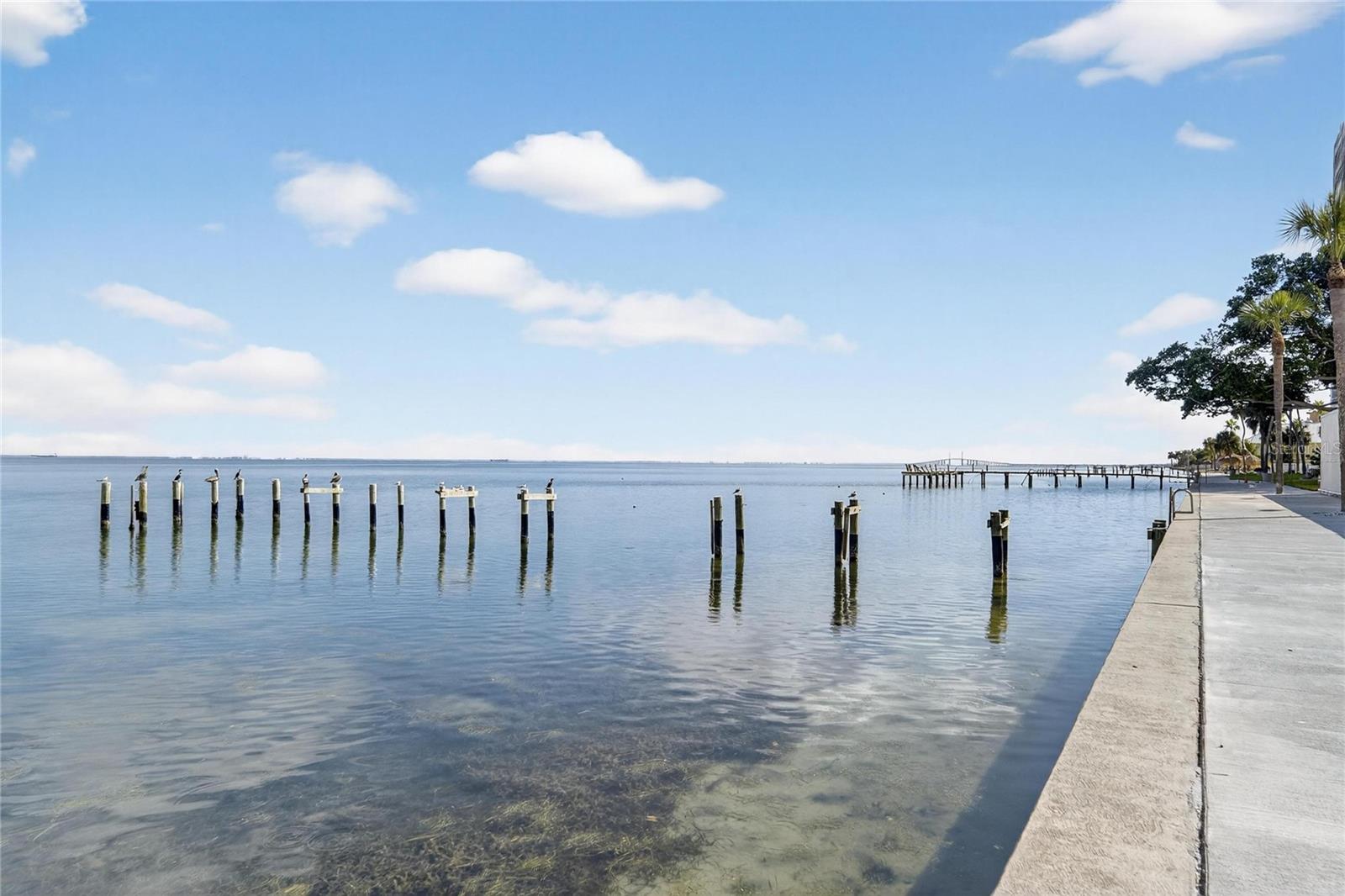 7100 SUNSHINE SKYWAY LN S #503, ST PETERSBURG, FL, 33711