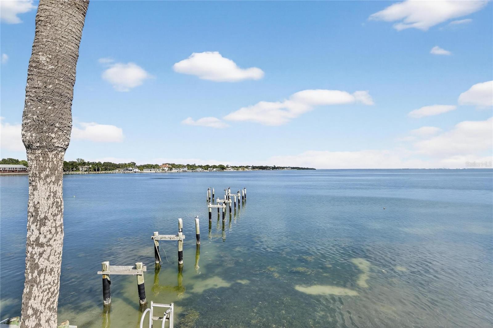 7100 SUNSHINE SKYWAY LN S #503, ST PETERSBURG, FL, 33711