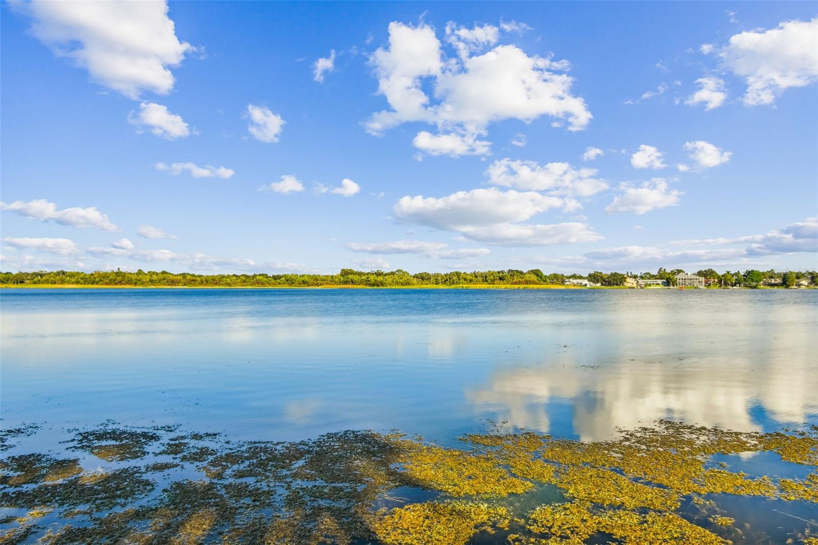 10101 SAILWINDS BLVD S #203, LARGO, FL, 33773