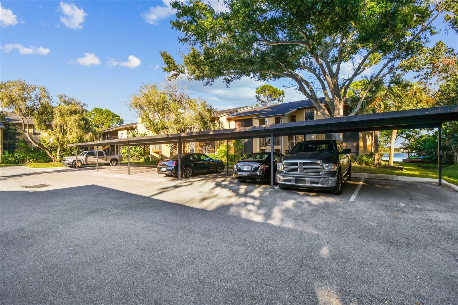 10101 SAILWINDS BLVD S #203, LARGO, FL, 33773