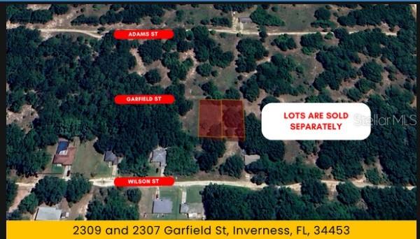 2309 GARFIELD ST, INVERNESS, FL, 34453
