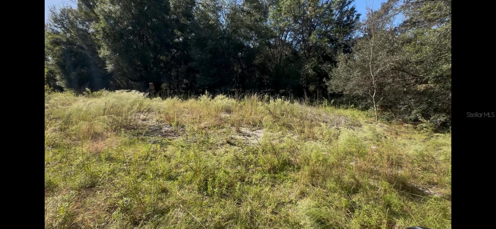 2309 GARFIELD ST, INVERNESS, FL, 34453