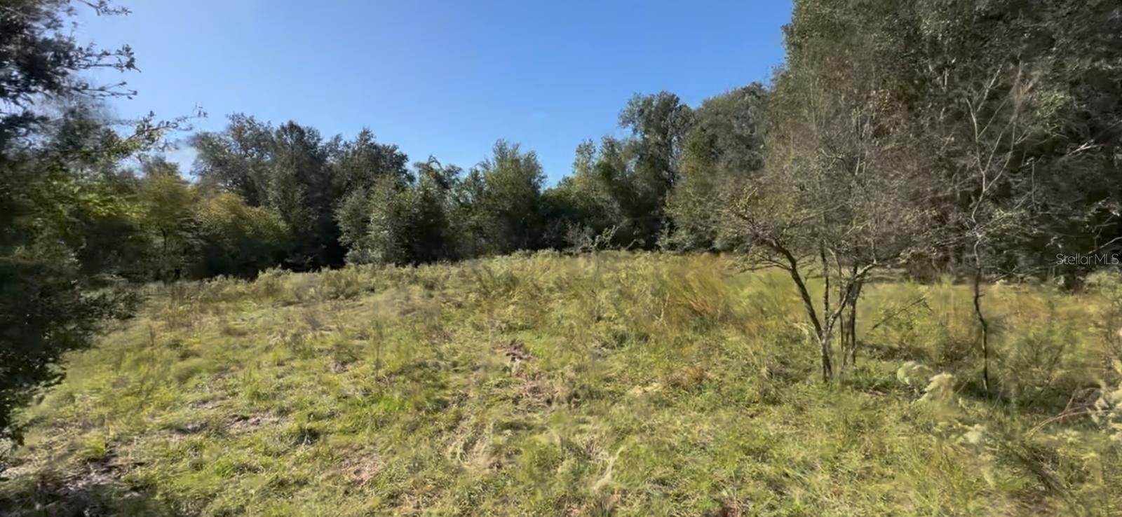 2309 GARFIELD ST, INVERNESS, FL, 34453