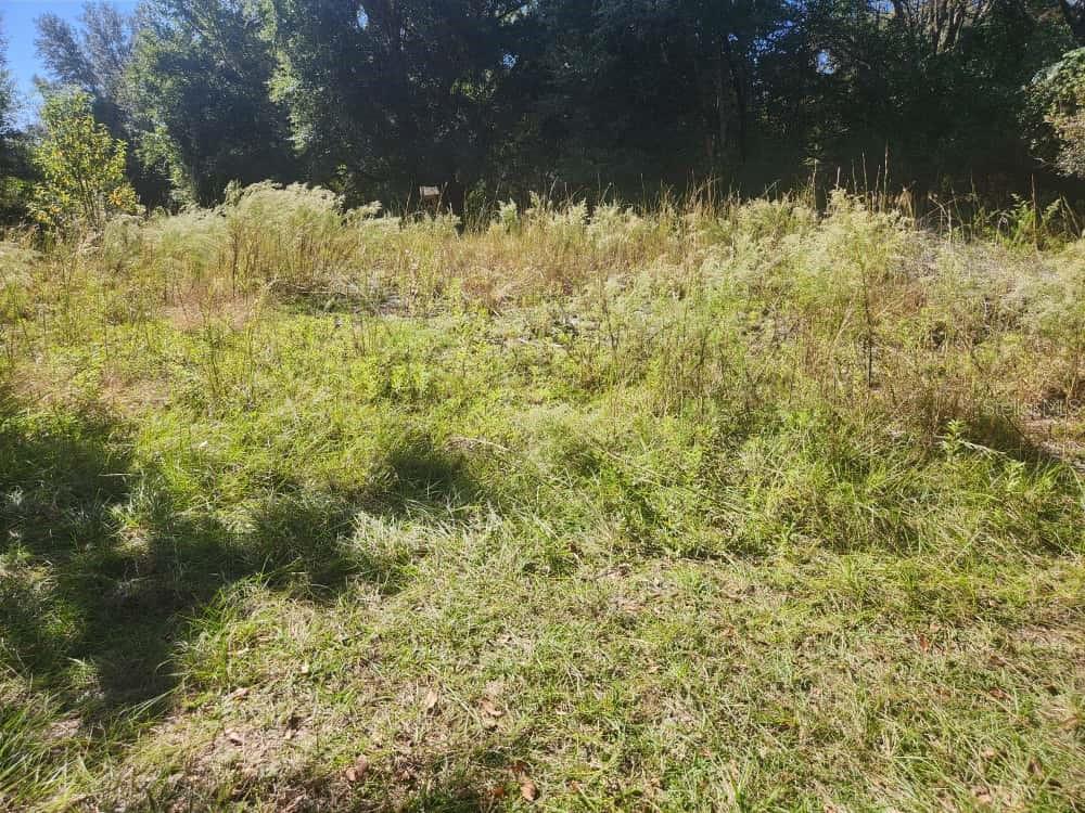 2309 GARFIELD ST, INVERNESS, FL, 34453