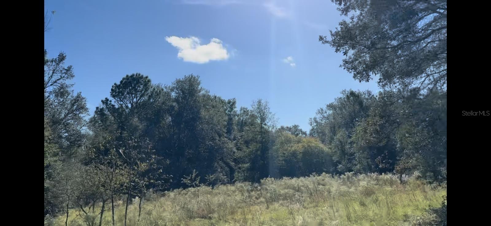 2309 GARFIELD ST, INVERNESS, FL, 34453